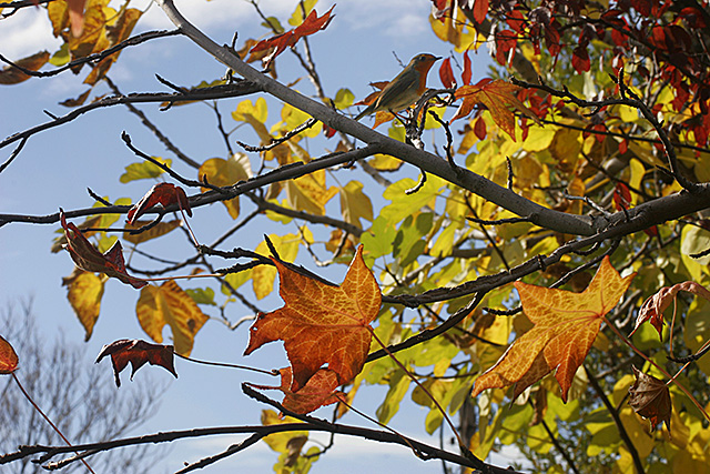 Una cosa lleva a la otra