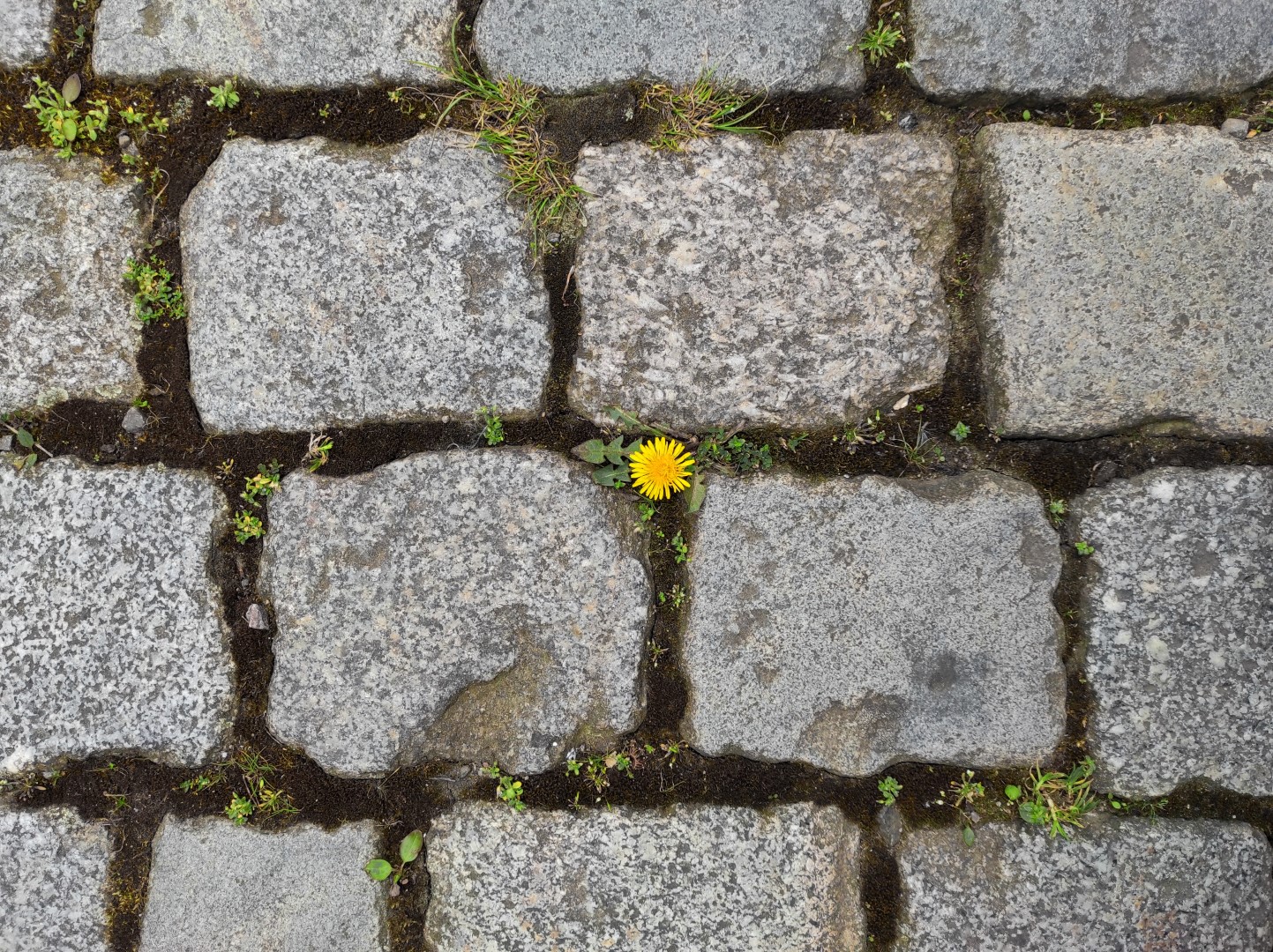 Una cosa lleva a la otra