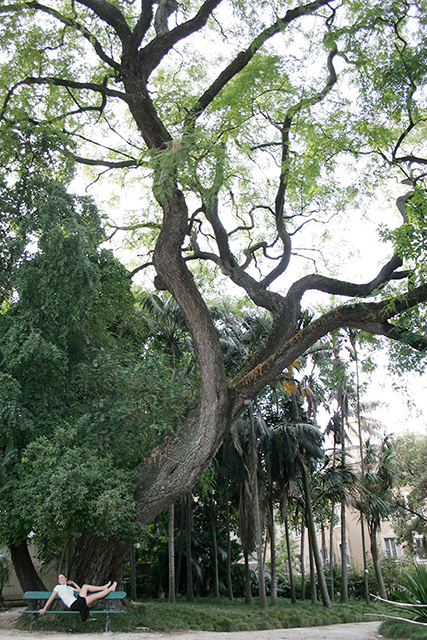 Una cosa lleva a la otra