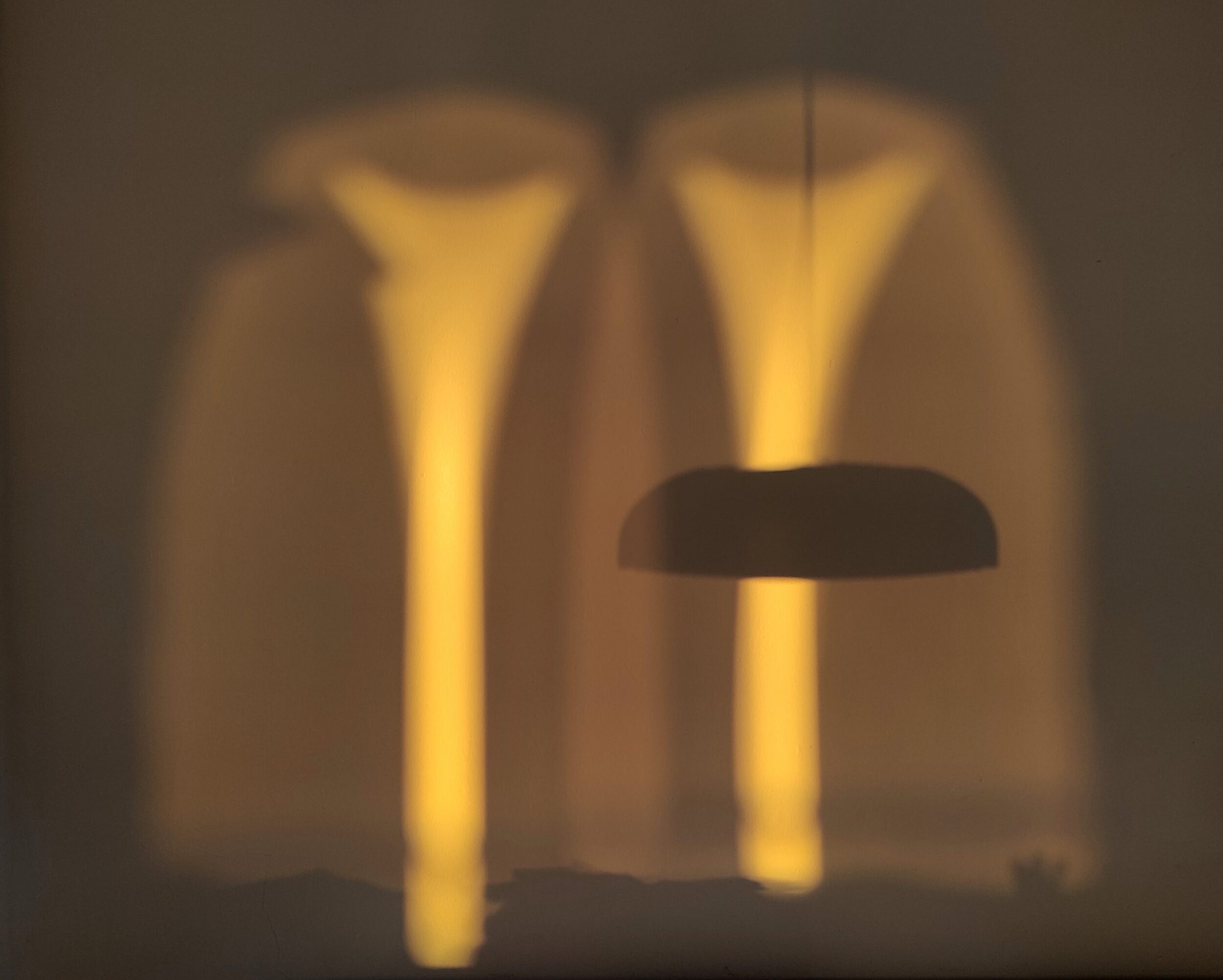 Una cosa lleva a la otra