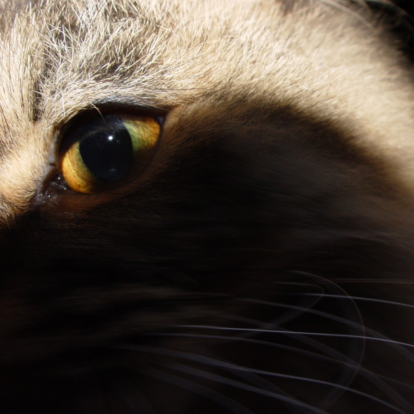 Una cosa lleva a la otra