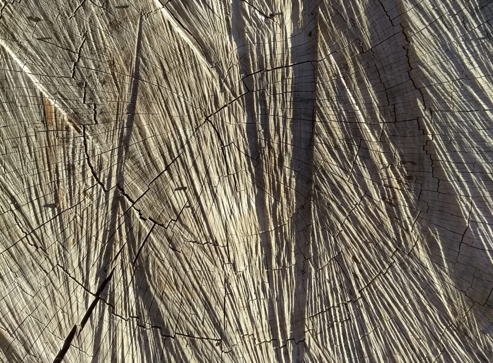 Una cosa lleva a la otra