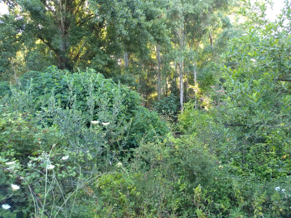 Una cosa lleva a la otra