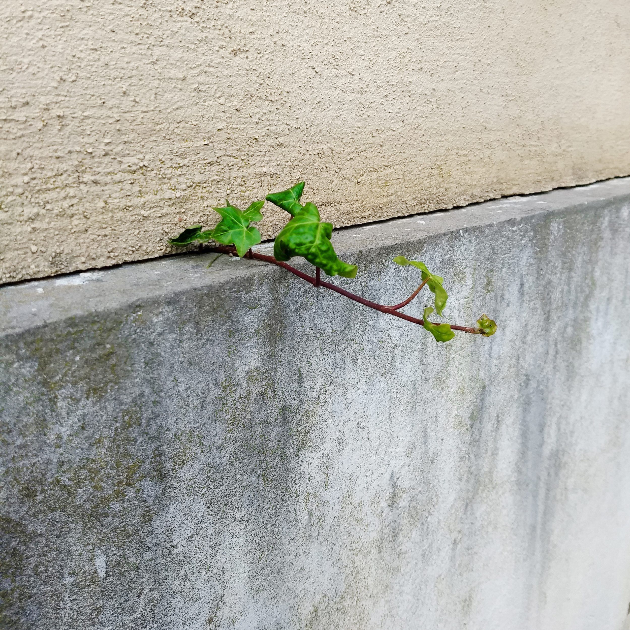 Una cosa lleva a la otra