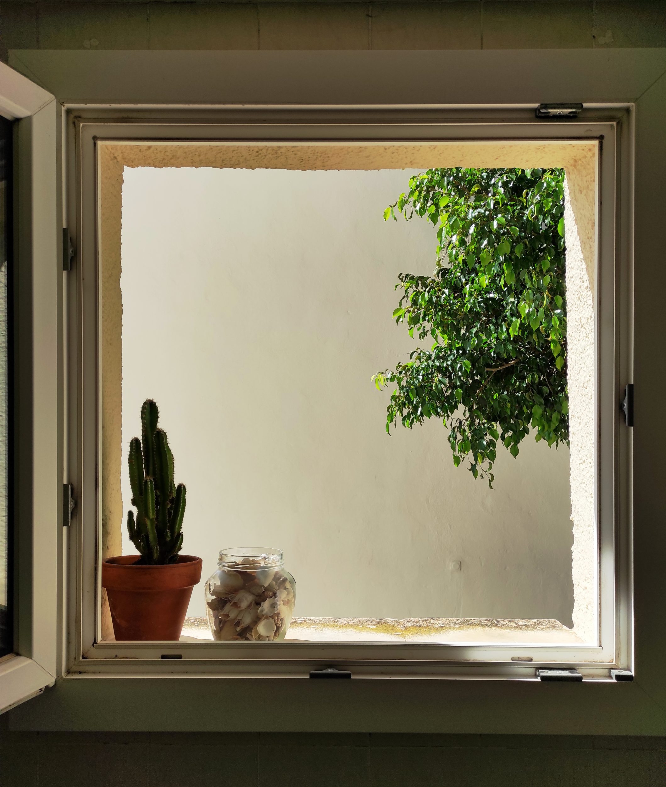 Una cosa lleva a la otra