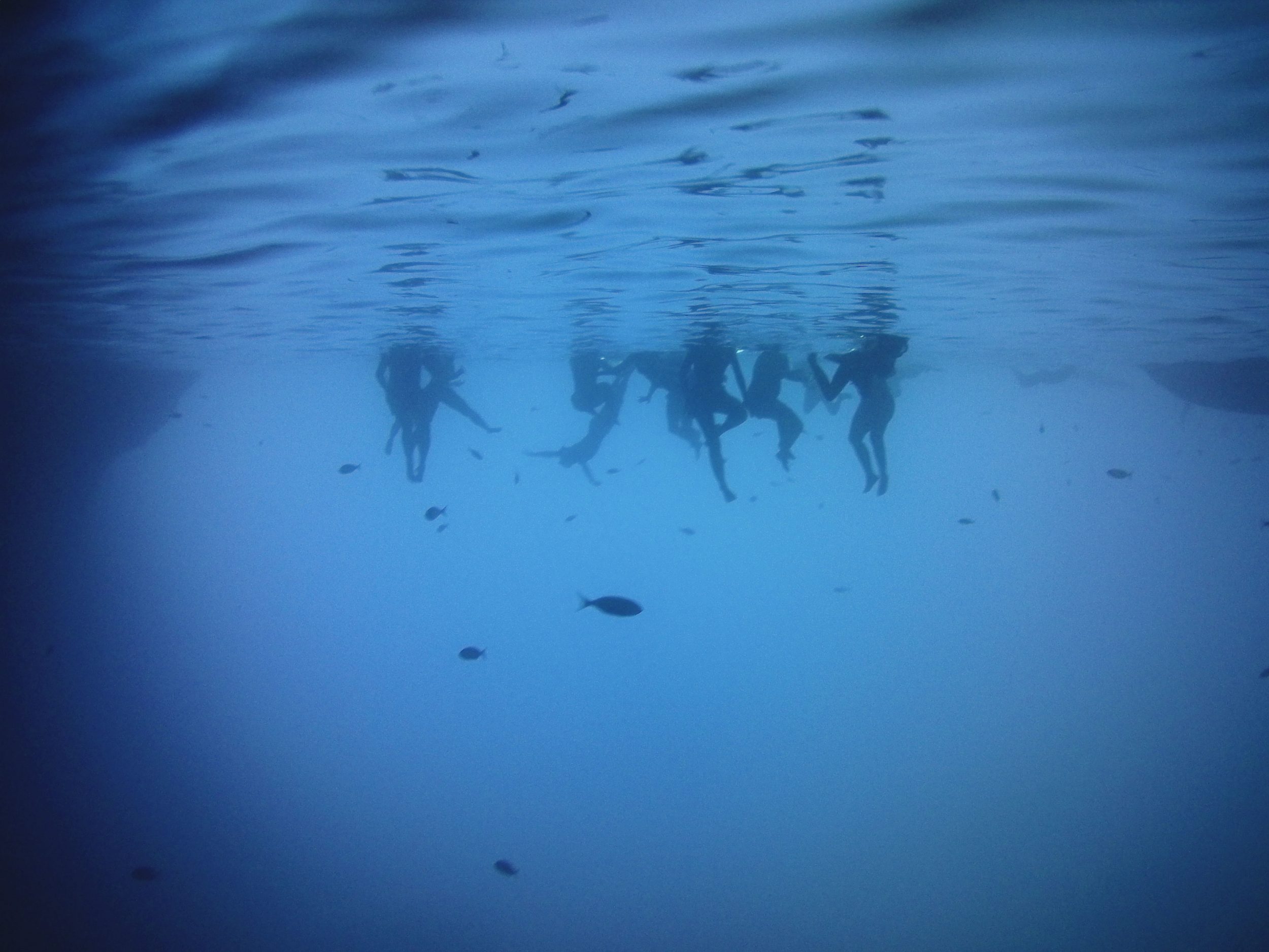 Una cosa lleva a la otra