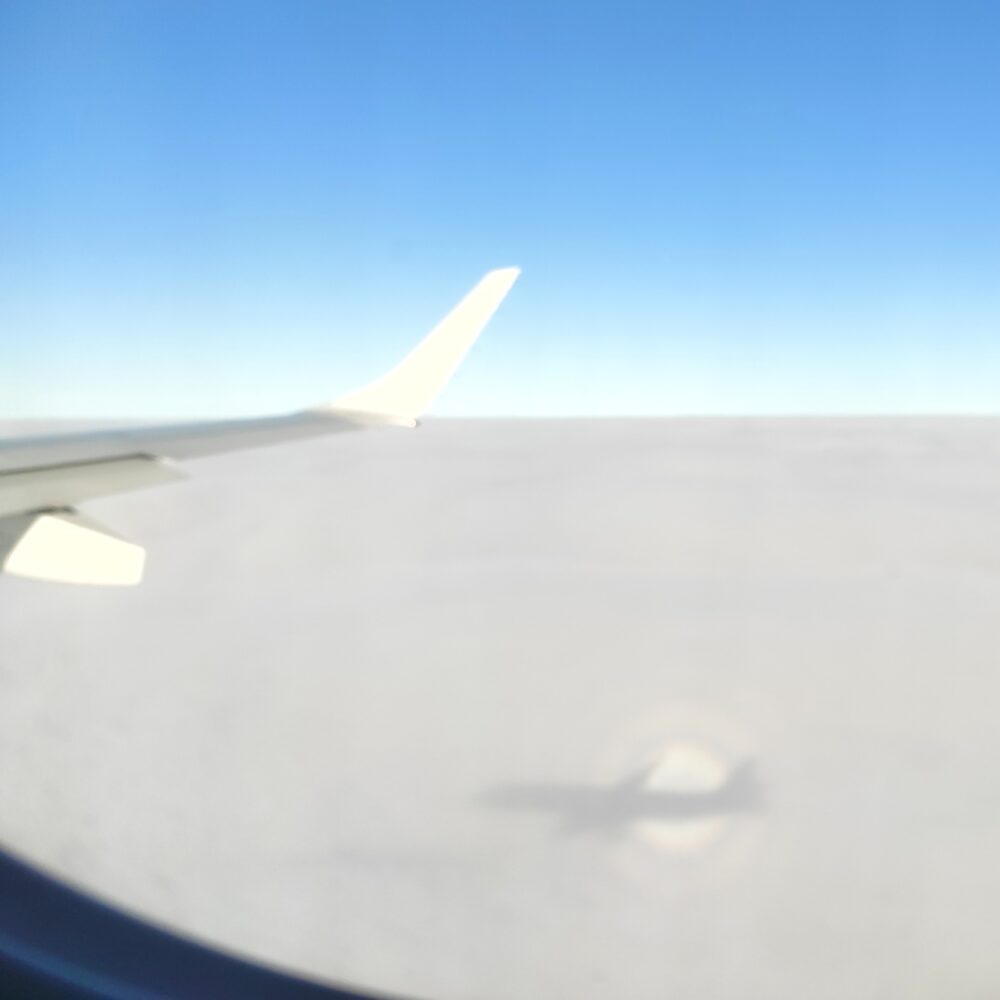 Una cosa lleva a la otra