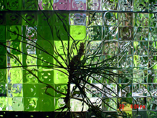 Una cosa lleva a la otra