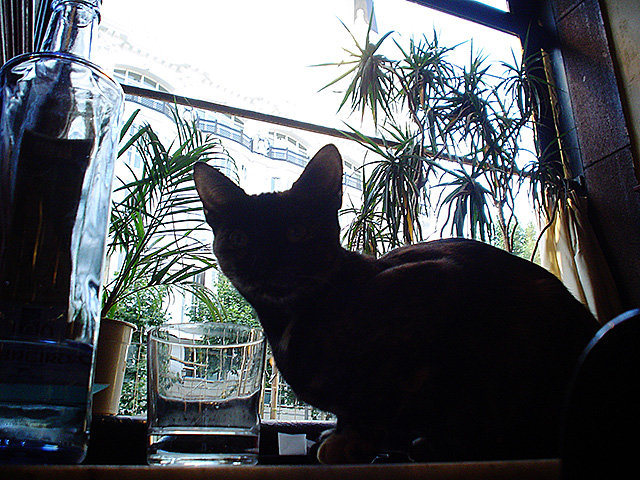 Una cosa lleva a la otra