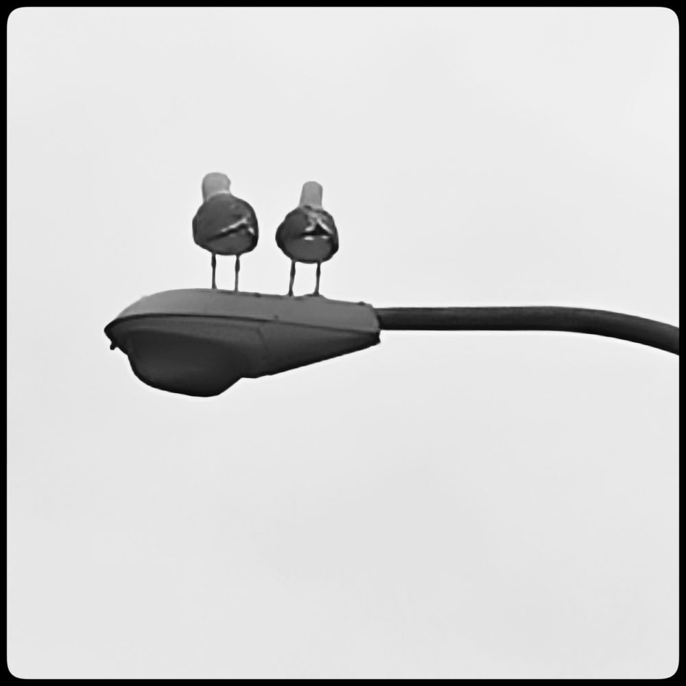 Una cosa lleva a la otra