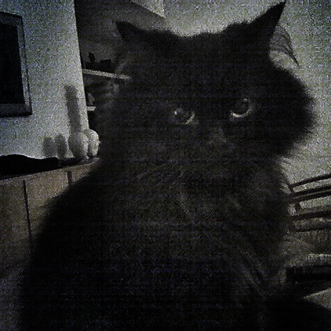 Una cosa lleva a la otra