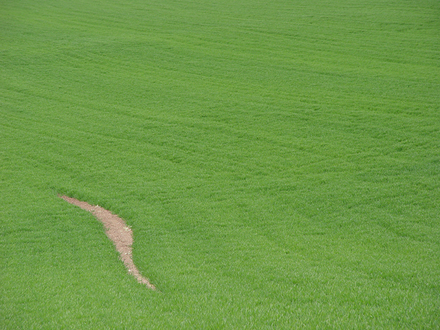 Una cosa lleva a la otra