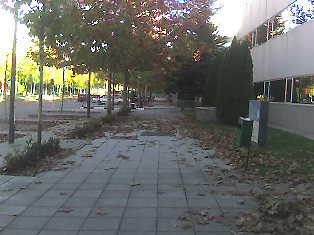 Una cosa lleva a la otra