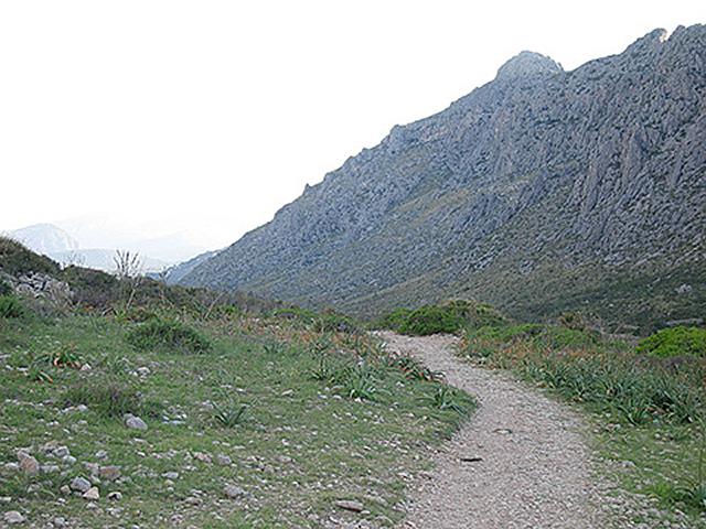 Una cosa lleva a la otra