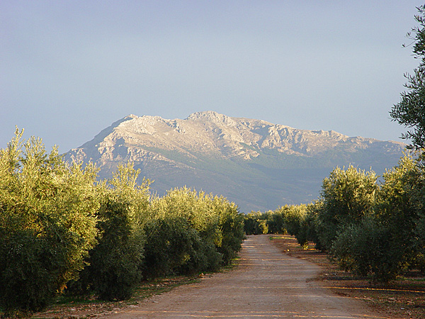 Una cosa lleva a la otra