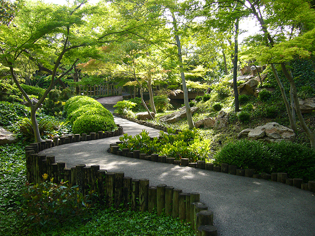 Una cosa lleva a la otra