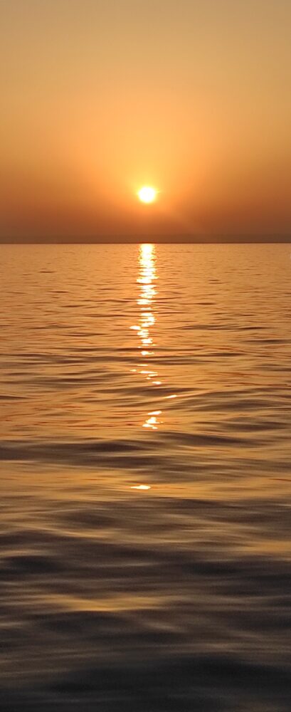 Una cosa lleva a la otra