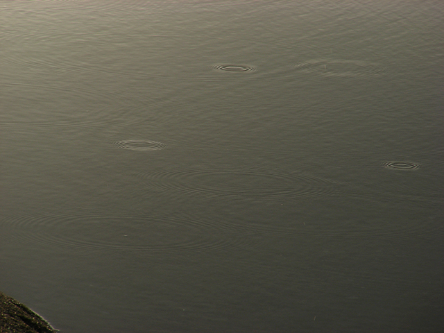 Una cosa lleva a la otra