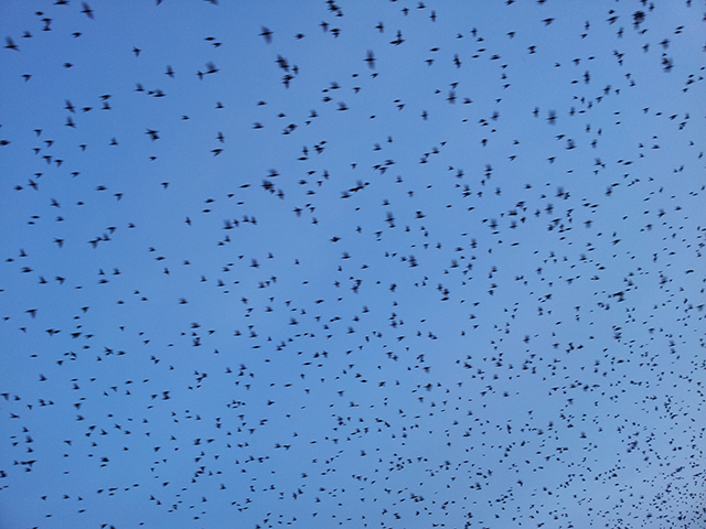 Una cosa lleva a la otra