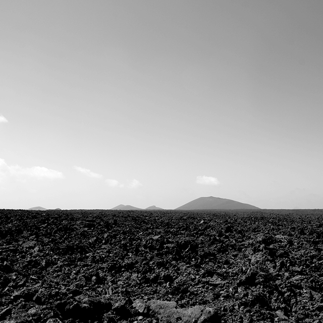 Una cosa lleva a la otra