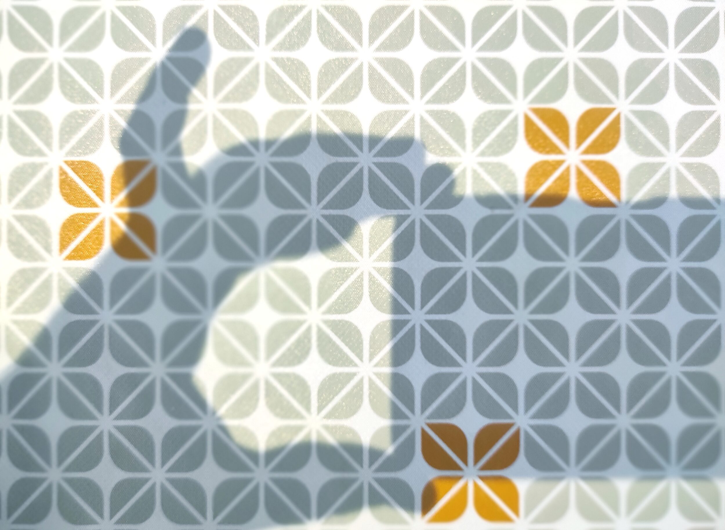 Una cosa lleva a la otra