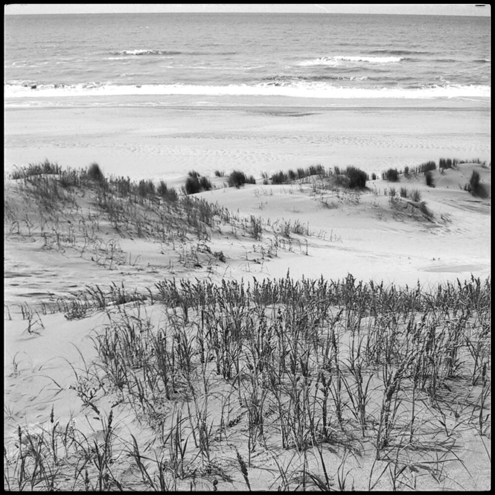 Una cosa lleva a la otra