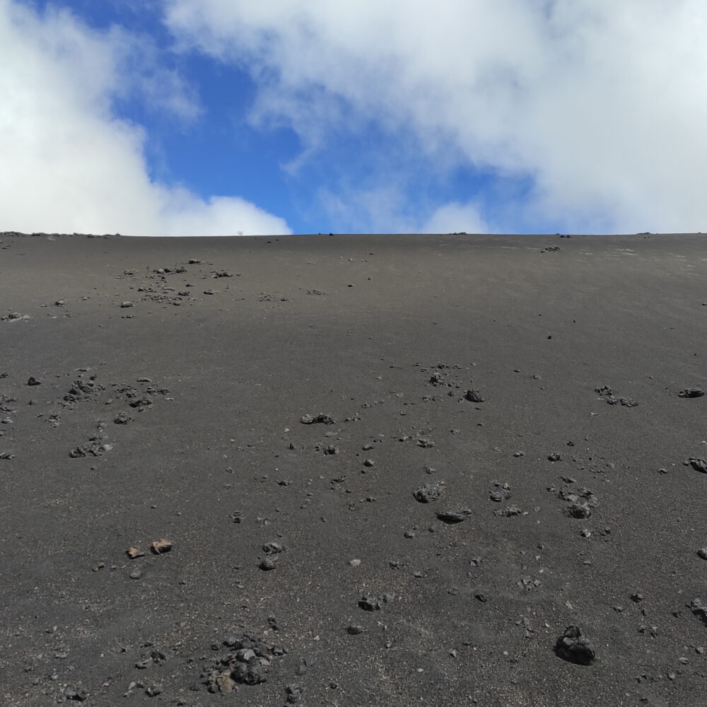 Una cosa lleva a la otra