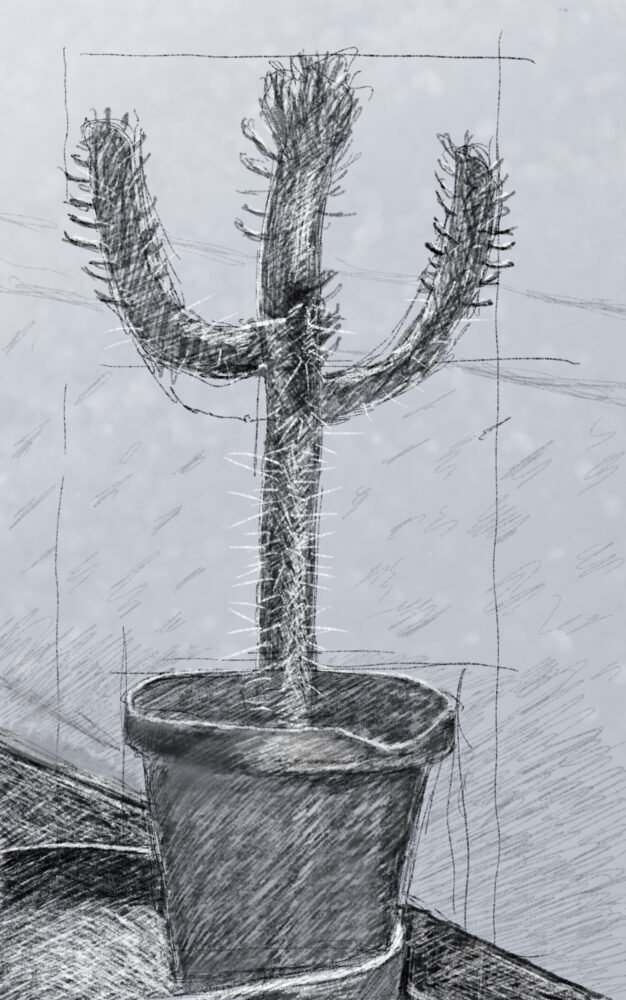 Una cosa lleva a la otra