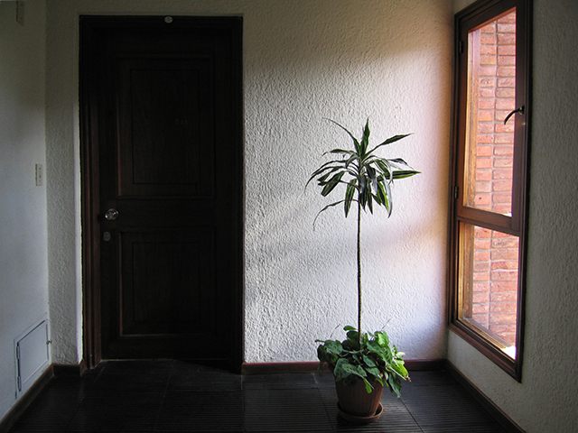 Una cosa lleva a la otra