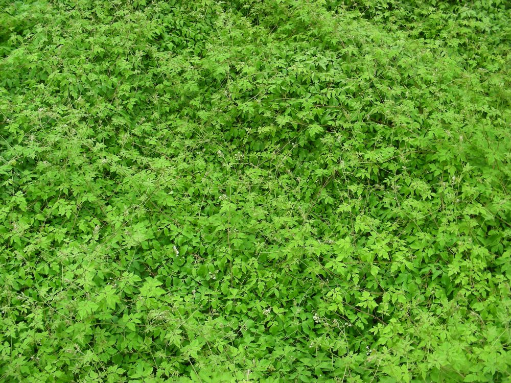 Una cosa lleva a la otra