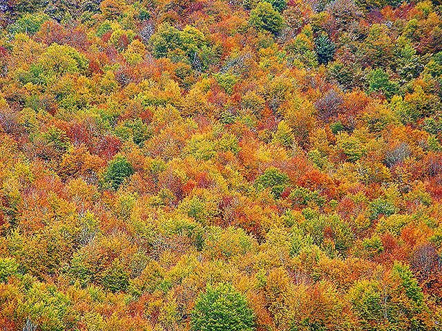Una cosa lleva a la otra