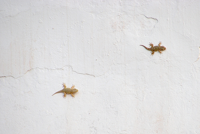 Una cosa lleva a la otra