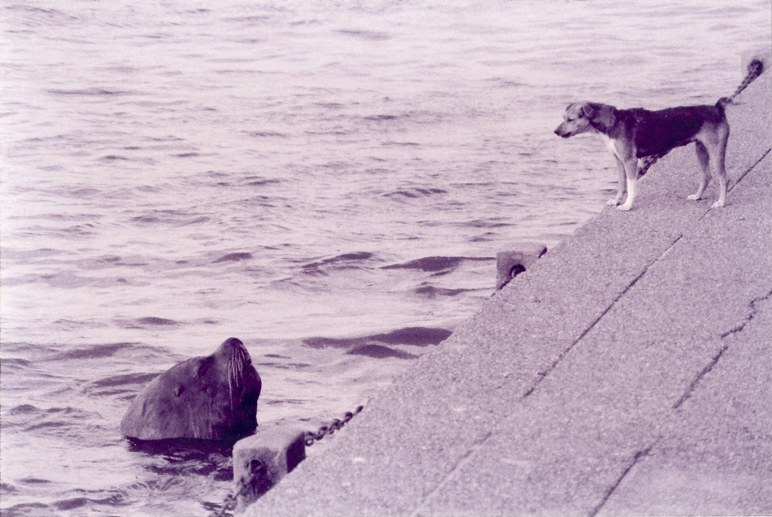 Una cosa lleva a la otra