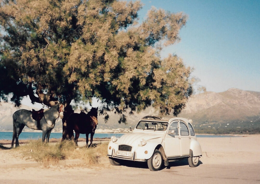Una cosa lleva a la otra
