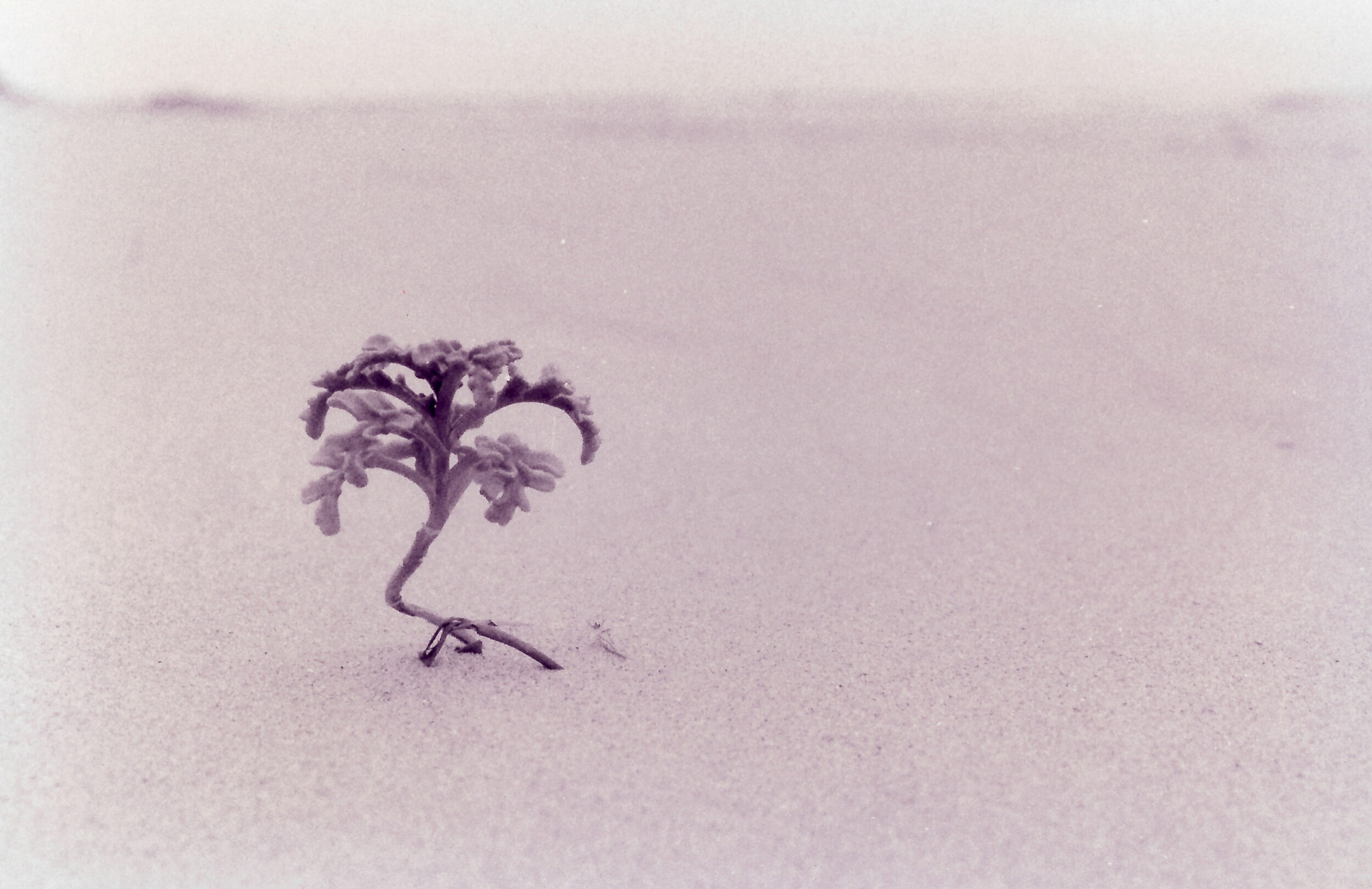 Una cosa lleva a la otra