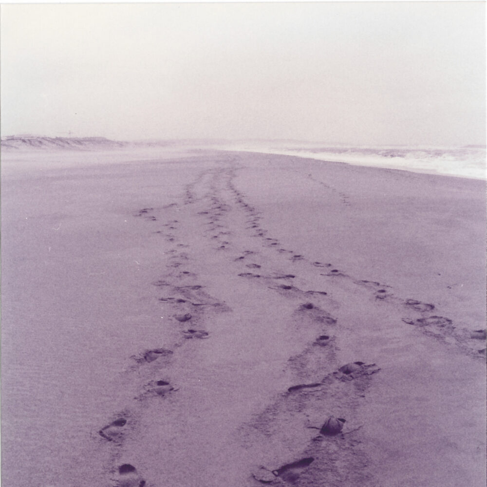 Una cosa lleva a la otra