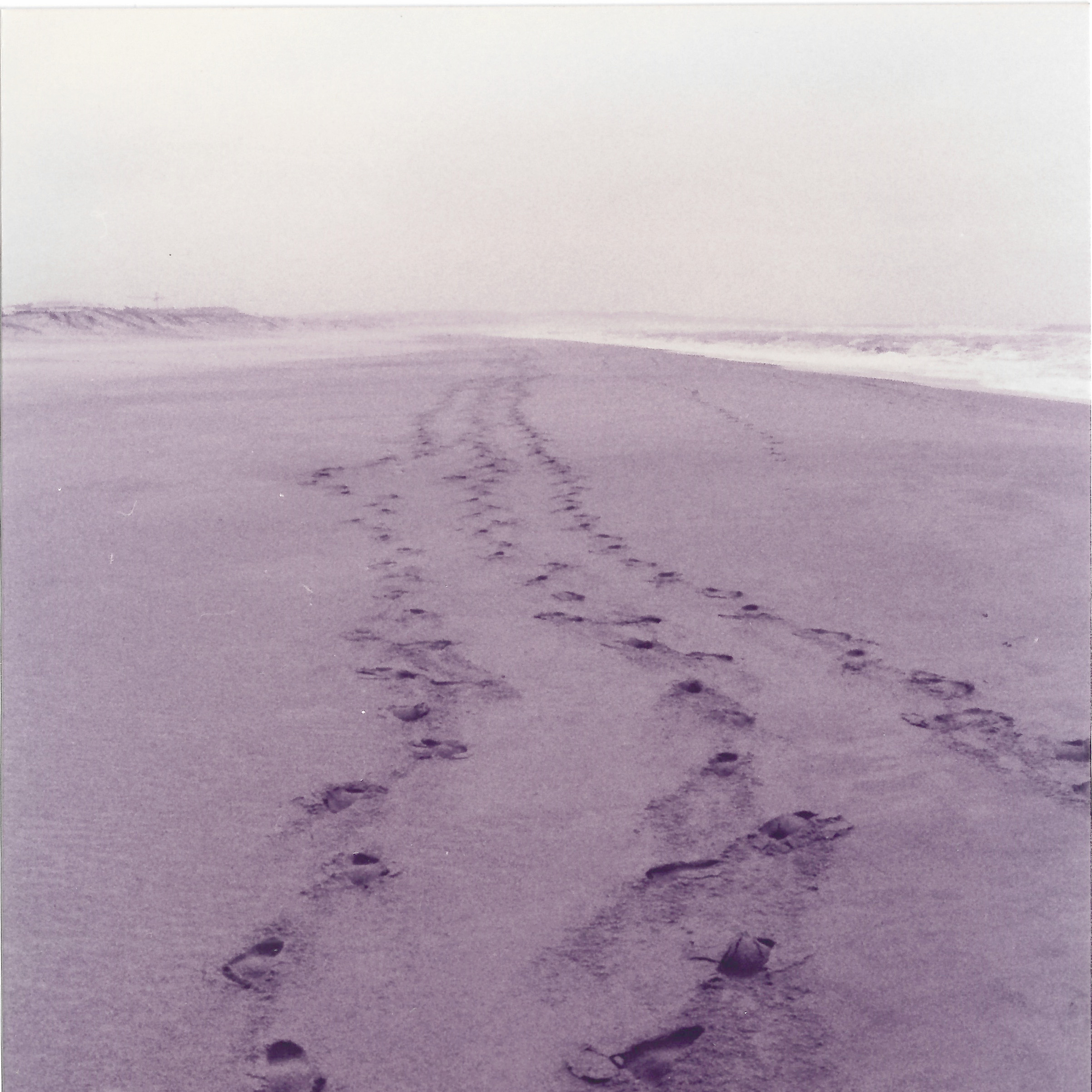 Una cosa lleva a la otra