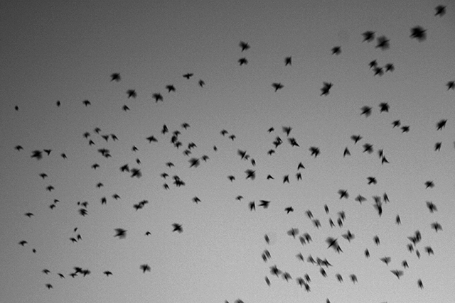 Una cosa lleva a la otra