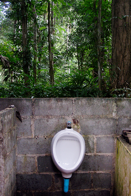 Una cosa lleva a la otra