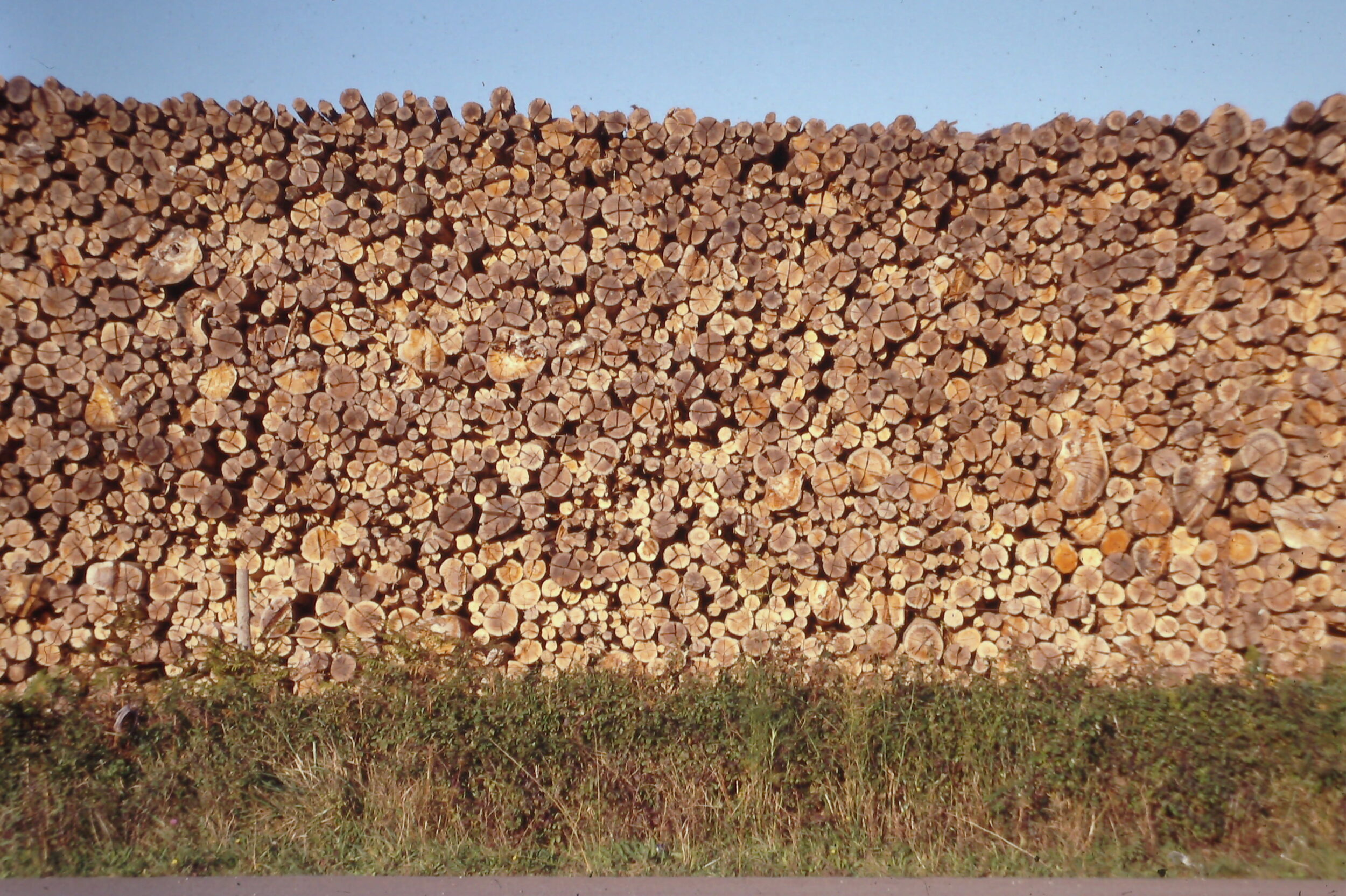 Una cosa lleva a la otra