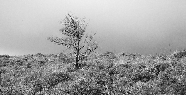 Una cosa lleva a la otra