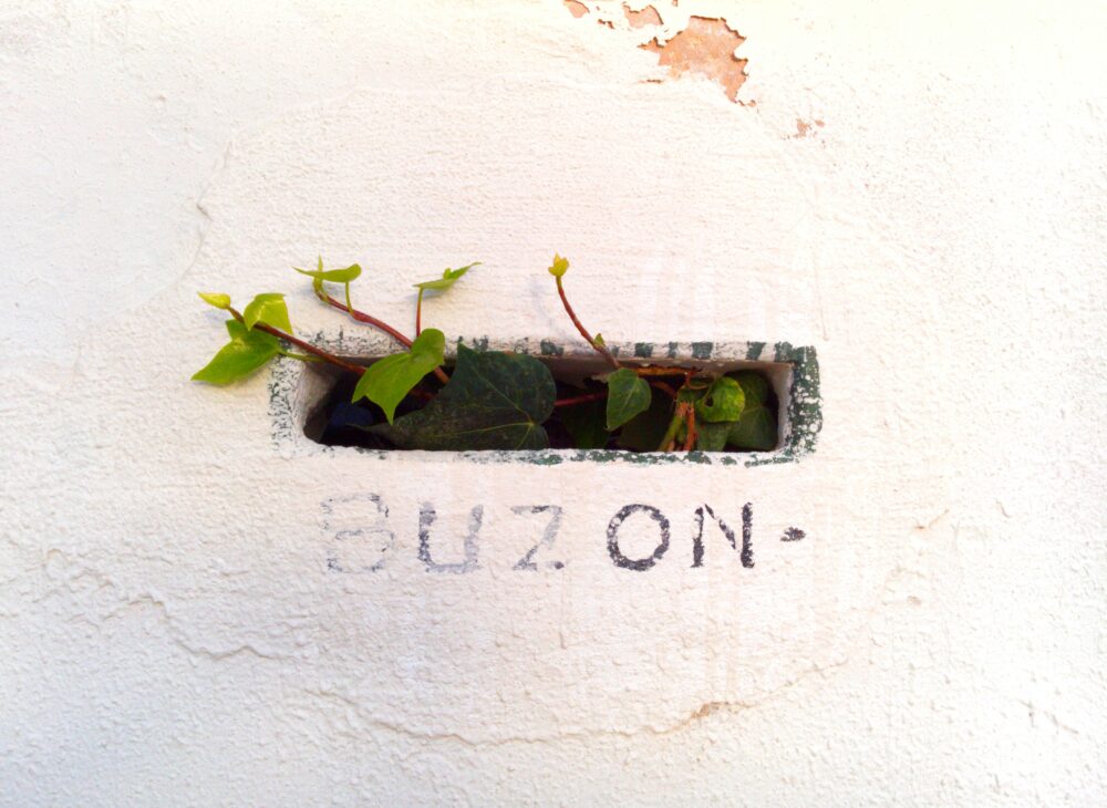 Una cosa lleva a la otra