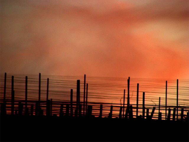 Una cosa lleva a la otra