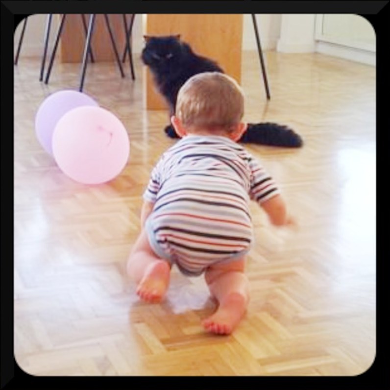 Una cosa lleva a la otra