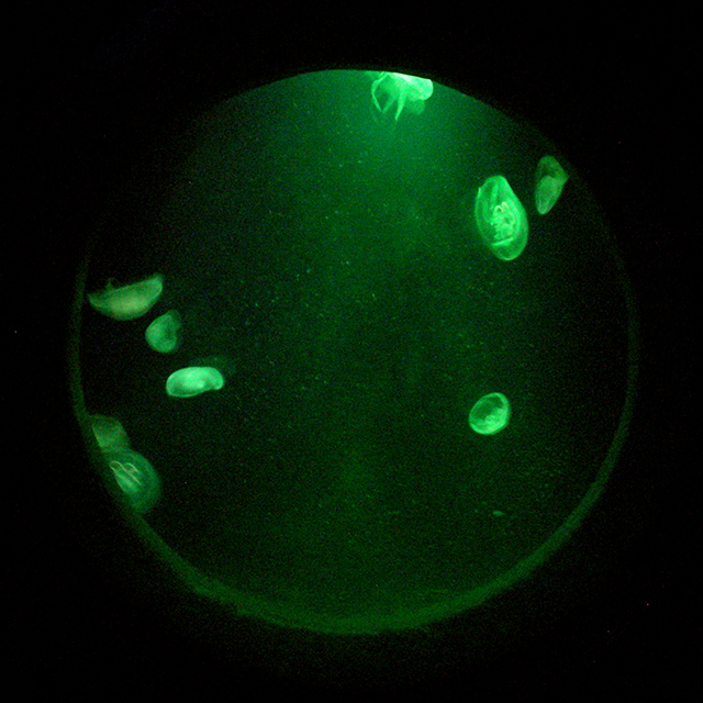 Una cosa lleva a la otra