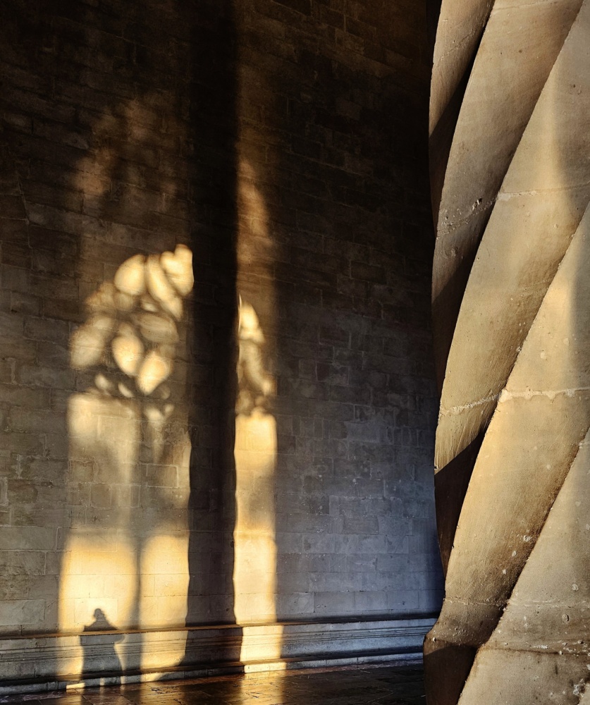 Una cosa lleva a la otra