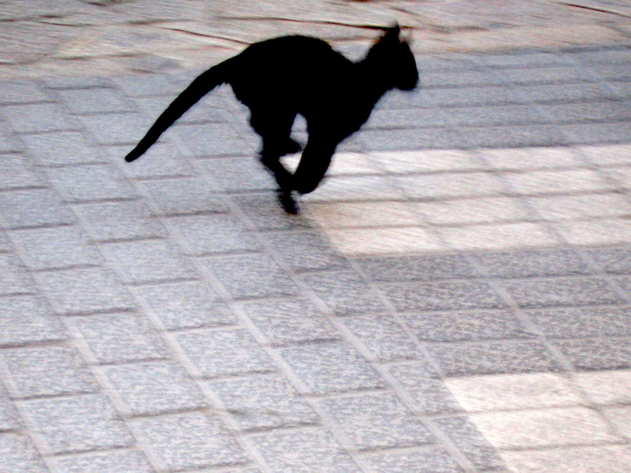 Una cosa lleva a la otra